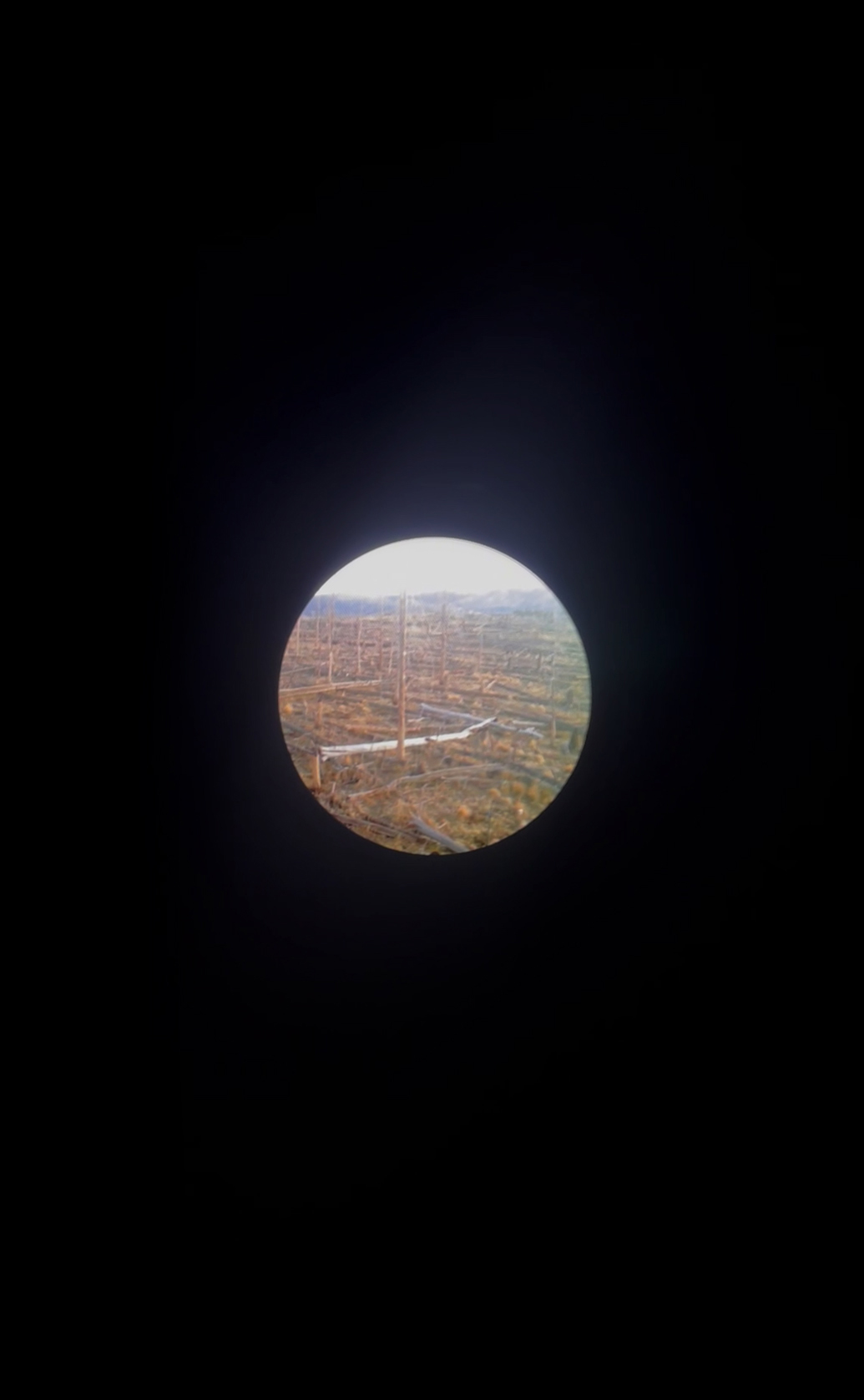 Petite image 1