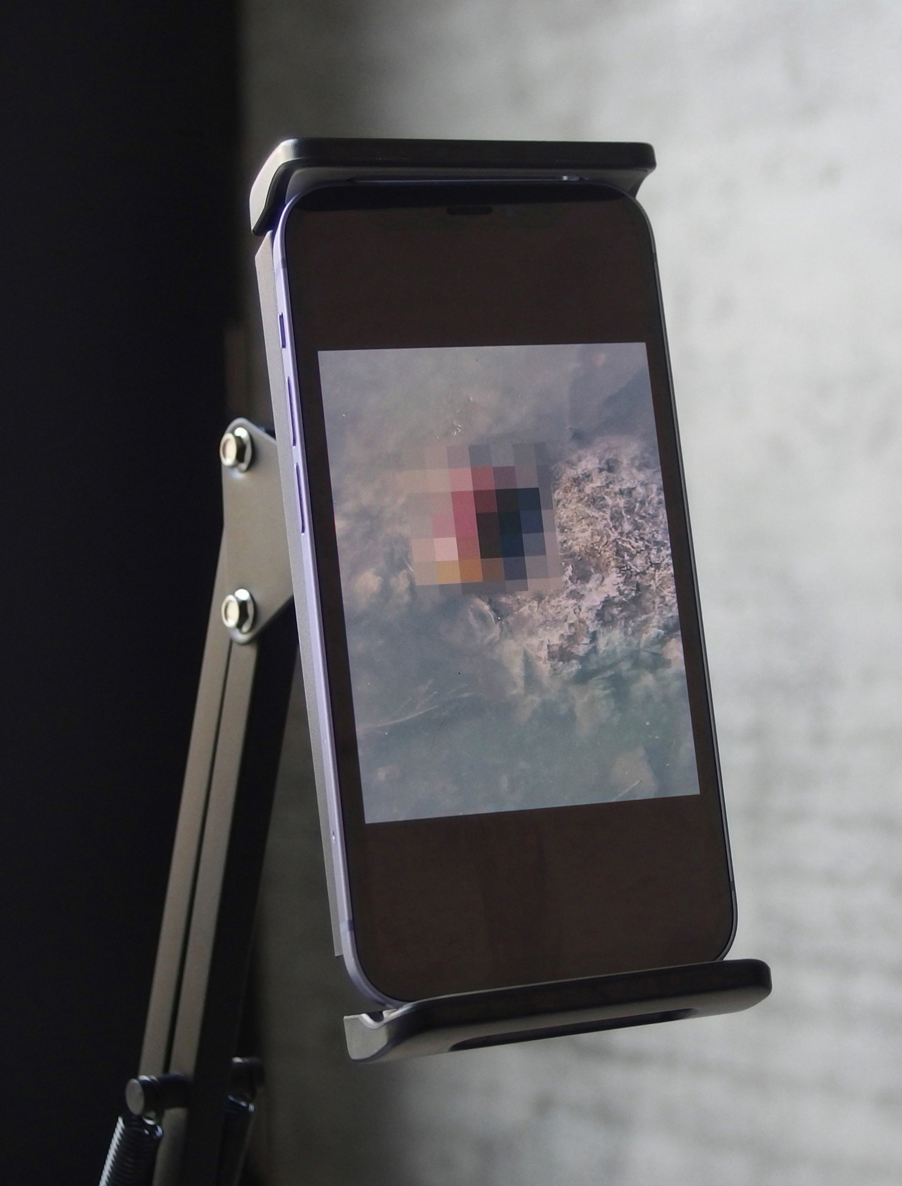 photographies de presse lucie planty