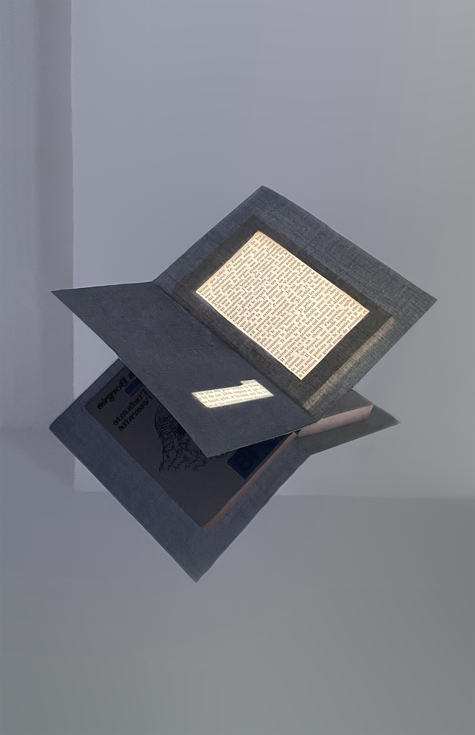 Lucie Planty Doctorat Radian